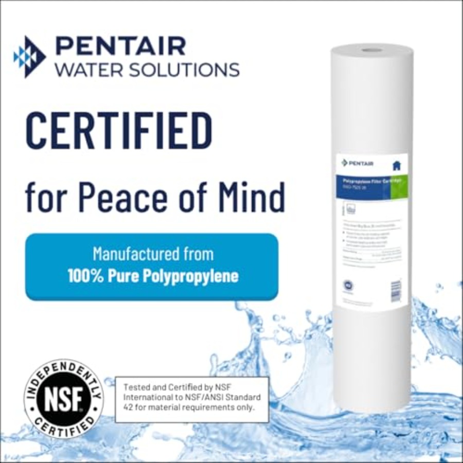 Pentair Big Blue Water Filter  – Water Filter Cartridge Bewertung und Preis